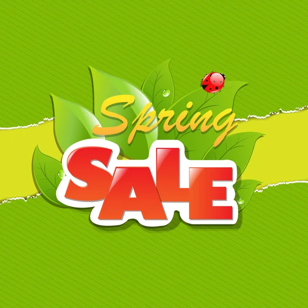 Green Torn Paper Borders And Spring Sale Banner — Stock Vector