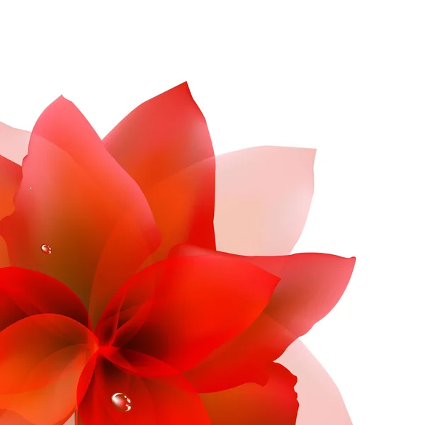 Résumé Tulipe rouge — Image vectorielle