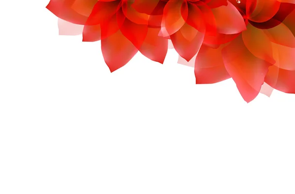 边框的红色郁金香 — 图库矢量图片