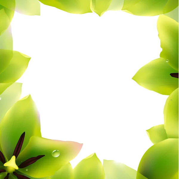 Frontera de tulipanes verdes — Vector de stock