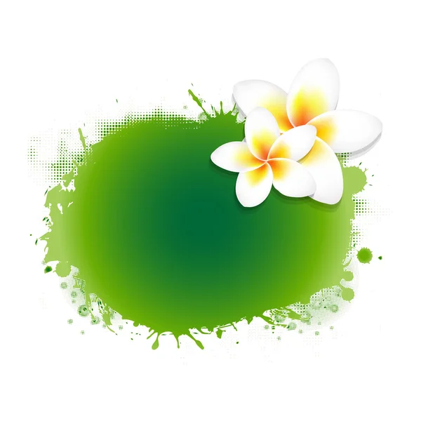 Frangipani bloem met groene blob — Stockvector