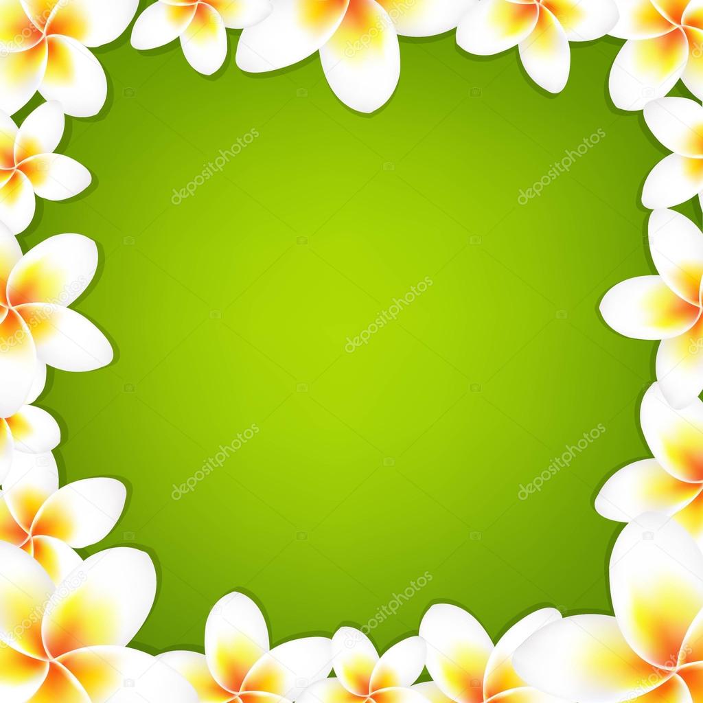 White Frangipani Frame With Green Background