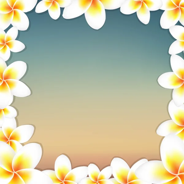 Witte frangipani en vintage frame — Stockvector