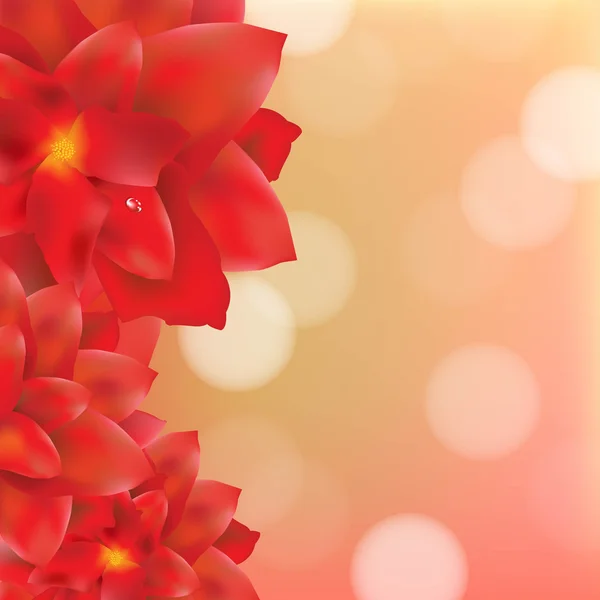 水滴のある花 — ストックベクタ