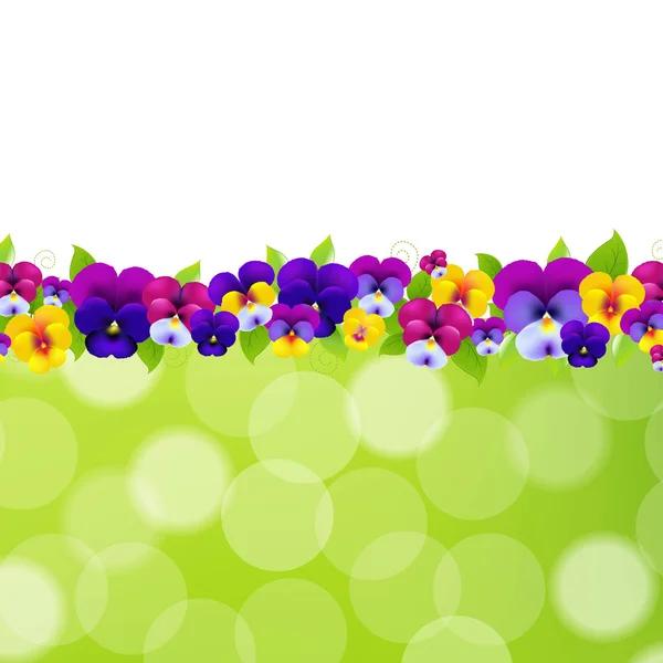 Spring Flowers Border — Stock Vector