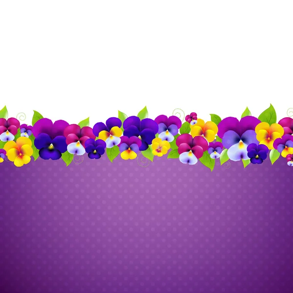 Violet Pansies Flowers — Stock Vector