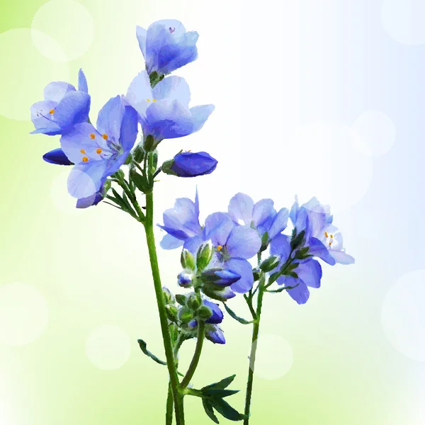 Kék akvarell virágok a bokeh — Stock Vector