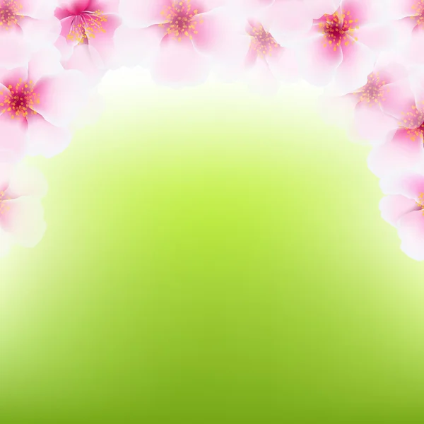 Cadre de fleur de cerisier rose — Image vectorielle