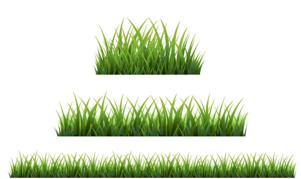Frontera de hierba verde con fondo blanco — Vector de stock