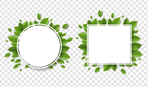 Hojas verdes con banners blancos Fondo transparente — Vector de stock