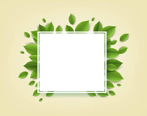 Foglie verdi con bandiera bianca — Vettoriale Stock
