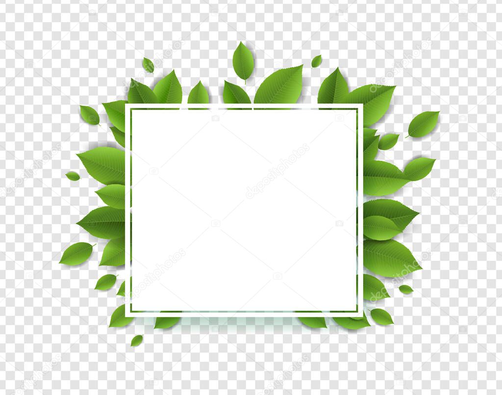Green Leaves With White Banner Transparent Background