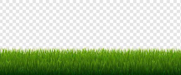 Зелена трава ізольований прозорий фон — стоковий вектор