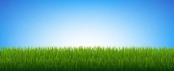 Groen gras geïsoleerd Blauwe lucht — Stockvector