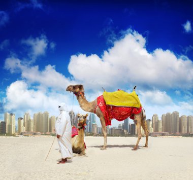 deve plajda dubai, Birleşik Arap Emirlikleri