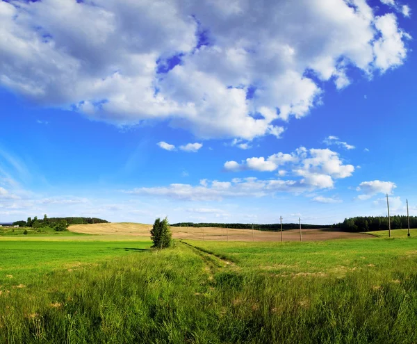 Yeşil alan panorama Vilnius Telifsiz Stok Imajlar