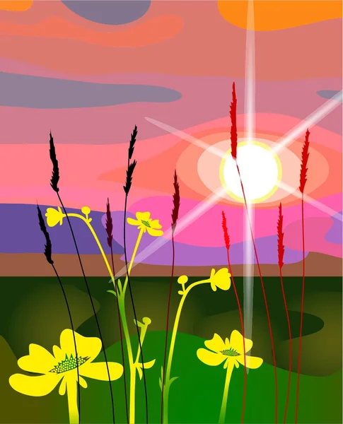 Nature at the sunset — Stock Vector