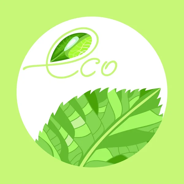 Environmentally friendly product — Stock Vector