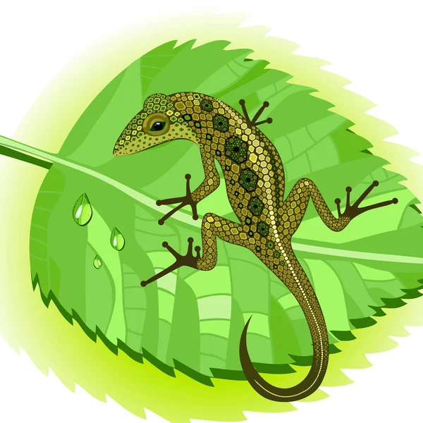 Lizard on a leaf — Stock Vector
