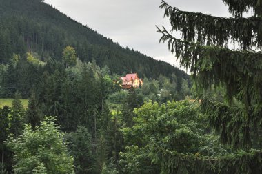 Evin ortasına bir odun