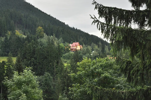 Das Haus inmitten eines Waldes — Stockfoto