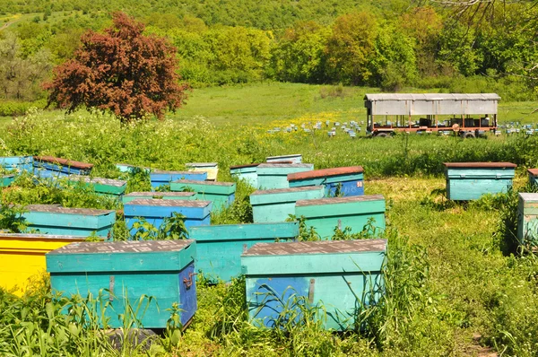 Bienenhaus — Stockfoto