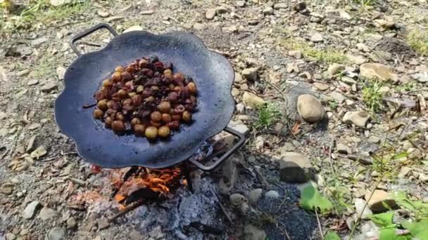 Uma panela de churrasco no fogo. Assado na fogueira. Carne cozida e batatas fritas — Vídeo de Stock