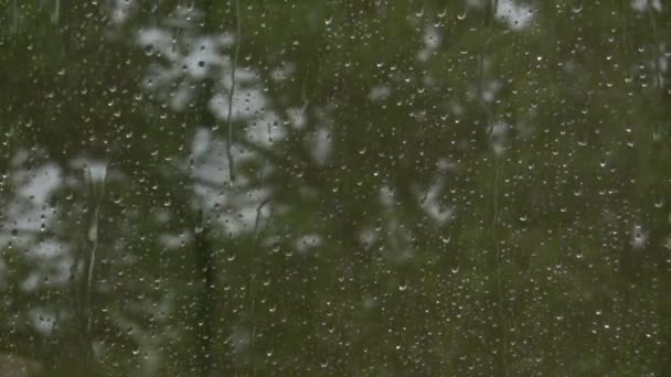 As gotas de chuva descem pelo vidro. Outono fora da janela. Furacão lá fora. Gotas de fluxo no vidro — Vídeo de Stock