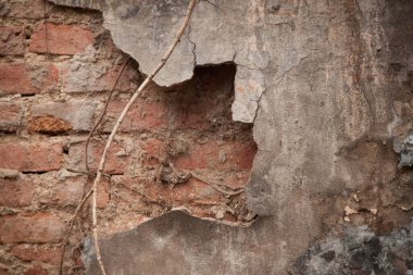 Eski püskü bir duvarın dokusu. Alçıdaki eski tuğlaların ve çatlakların geçmişi. Sarı ve kahverengi tonlar.