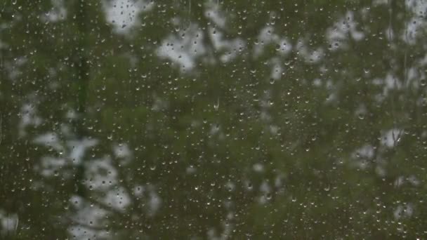 Gotas Chuva Descem Pelo Vidro Outono Fora Janela Furacão Fora — Vídeo de Stock