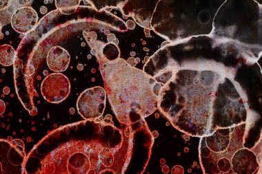 Sanat soyut renkli noktalar. Modern sanat. İç tablolar. Tasarımcılar için hazırlık. Dekor