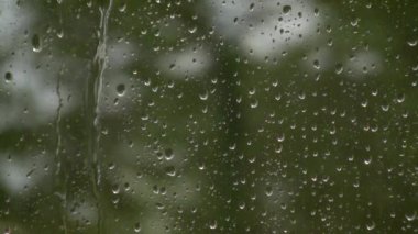 Bardaktan aşağı yağmur damlaları akıyor. Pencerenin dışında sonbahar. Kasırga dışarıda. Damlalar cama akıyor.