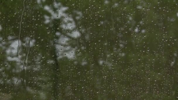 As gotas de chuva descem pelo vidro. Outono fora da janela. Furacão lá fora. Gotas de fluxo no vidro — Vídeo de Stock