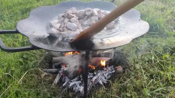 The meat is cooked in a round pan. The wild nature. Dishes outdoors — Stock Video