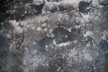 Eski, yırtık pırtık duvar dokusu. Eski yıpranmış duvar. Kirli duvar dokusu