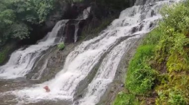 Yazın büyük şelale. Şelale çağlayanlarda