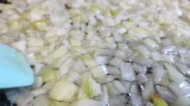 Pencere kenarında mikroyeşil salata. Evde büyümek. Çevre. Vejetaryenlik