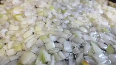 Pencere kenarında mikroyeşil salata. Evde büyümek. Çevre. Vejetaryenlik