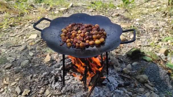 प्रकृति में आग पर फ्राइंग पैन पर मांस — स्टॉक वीडियो