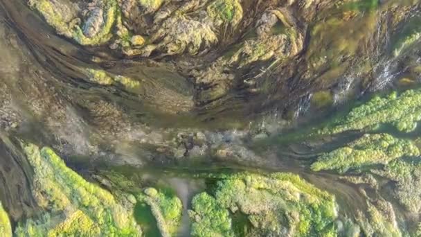 Contaminated water. Environmental disaster. Green algae. Chemical emissions. Pollution of the planet. — Vídeo de Stock