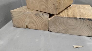 Ekoloji. Çöp ayıklama. Atık geri dönüşümü. Endüstriyel atık ayıklama. Tahta