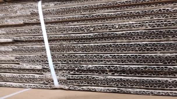 Cardboard factory. Corrugated cardboard. Background texture — Vídeo de Stock