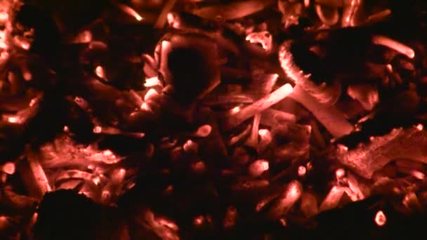 Carvões Vermelhos Quentes Lareira Fogo Está Arder Textura Design Relaxamento — Vídeo de Stock
