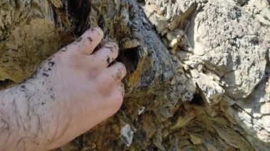 Geodesy. Minerals and stones in the rock