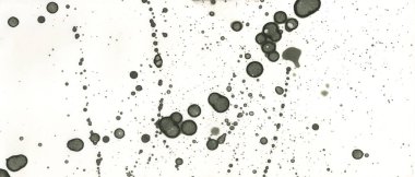 Sanat noktası soyutlaması. Soyut sanatın dokusu ve arkaplanı. Kabarcıklar ve lekeler. Alkolik mürekkep ve suluboya. Modern ve yeni stil