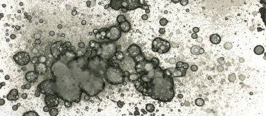 Sanat noktası soyutlaması. Soyut sanatın dokusu ve arkaplanı. Kabarcıklar ve lekeler. Alkolik mürekkep ve suluboya. Modern ve yeni stil