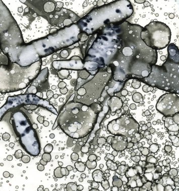 Sanat noktası soyutlaması. Soyut sanatın dokusu ve arkaplanı. Kabarcıklar ve lekeler. Alkolik mürekkep ve suluboya. Modern ve yeni stil