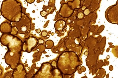 Kahve lekesi dokusu. Soyut noktalar. Psikolojik resimler. Soyut baloncuklar.