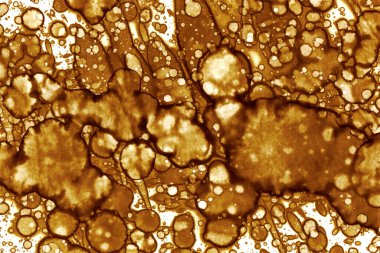 Kahve lekesi dokusu. Soyut noktalar. Psikolojik resimler. Soyut baloncuklar.