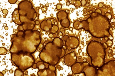 Kahve lekesi dokusu. Soyut noktalar. Psikolojik resimler. Soyut baloncuklar.